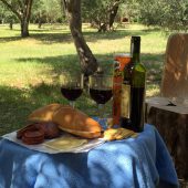  Picnic in an Olive Grove, Lokrum